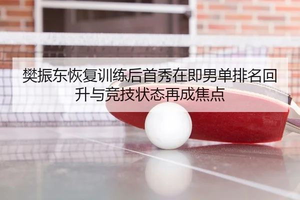 樊振东恢复训练后首秀在即男单排名回升与竞技状态再成焦点